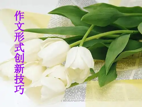 作文形式的创新PPT精品课件