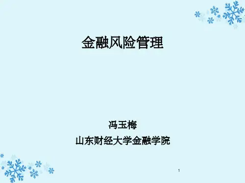 金融风险管理 第二章ppt课件