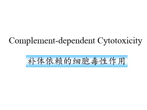 补体依赖的细胞毒性作用 ppt课件