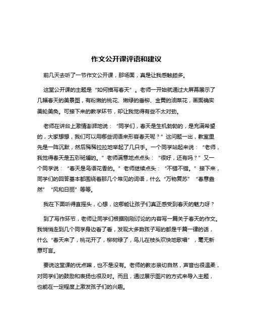 作文公开课评语和建议