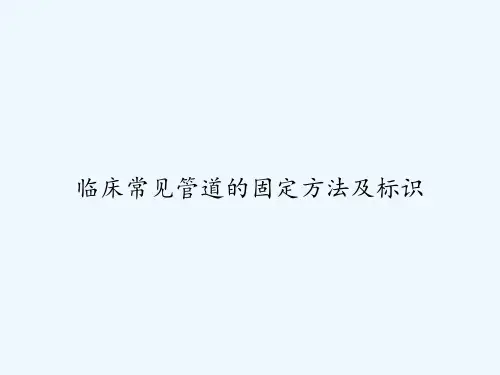 临床常见管道的固定方法及标识 PPT
