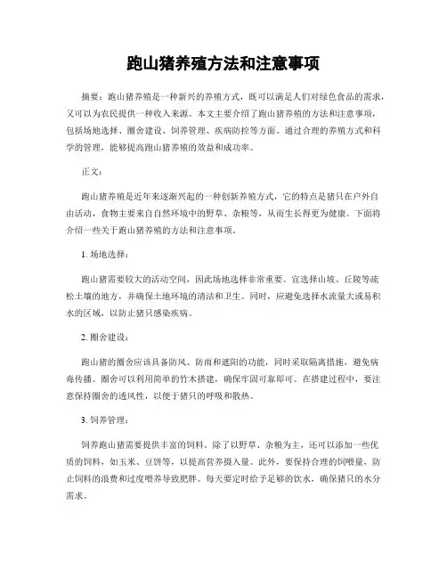跑山猪养殖方法和注意事项