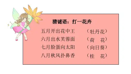 龙教版人文与社会一年级下花开时节赏花忙课件