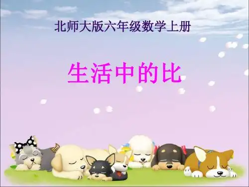 《生活中的比》PPT课件