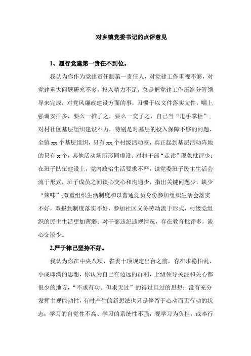 对乡镇党委书记的点评意见