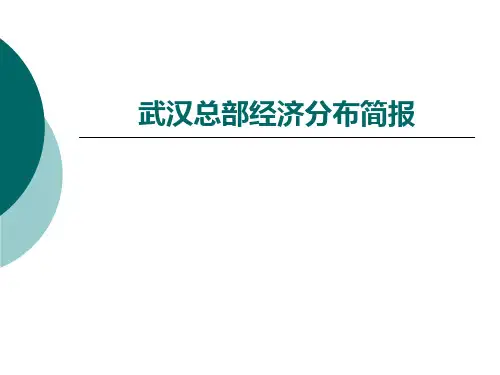 武汉工业园 分布 (2)