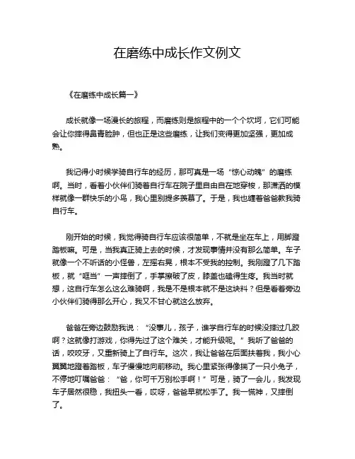 在磨练中成长作文例文