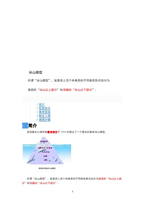 冰山素质模型