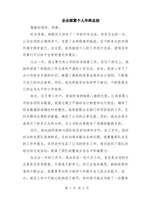 企业核算个人年终总结