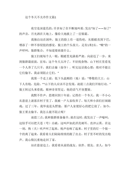 这个冬天不太冷作文4篇