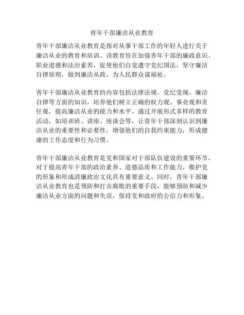 青年干部廉洁从业教育