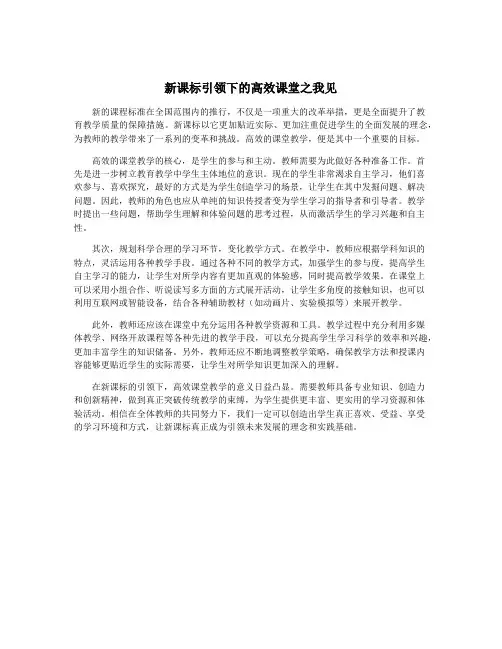 新课标引领下的高效课堂之我见