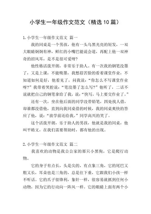 小学生一年级作文范文(精选10篇)
