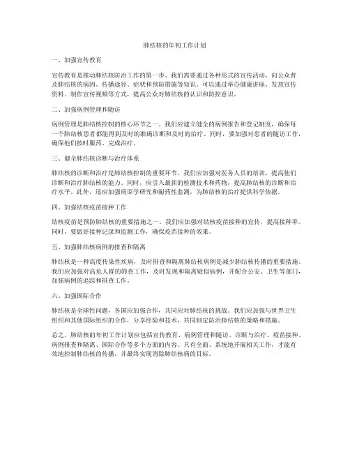 肺结核的年初工作计划
