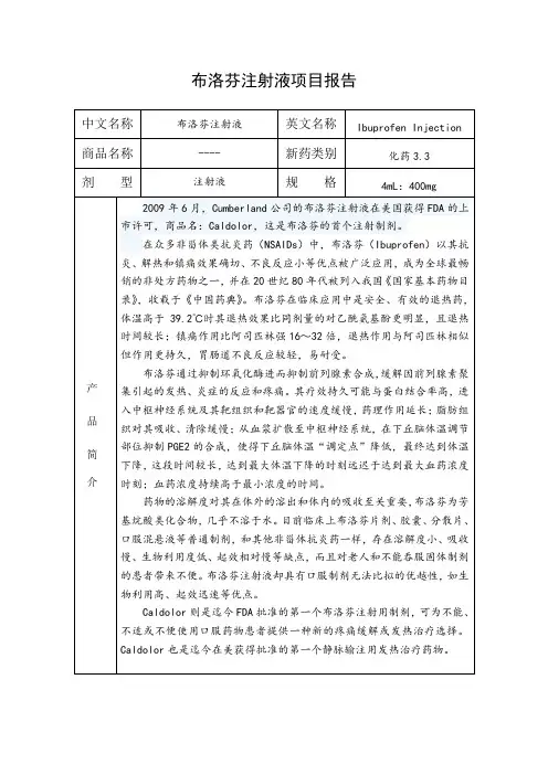 布洛芬注射液项目报告