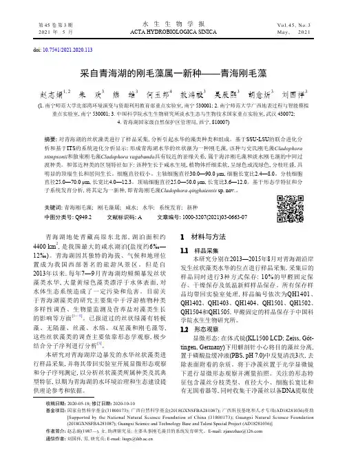采自青海湖的刚毛藻属一新种——青海刚毛藻