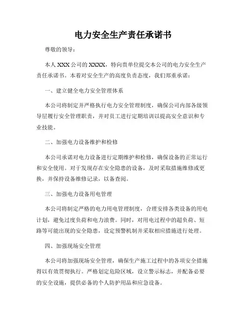 电力安全生产责任承诺书
