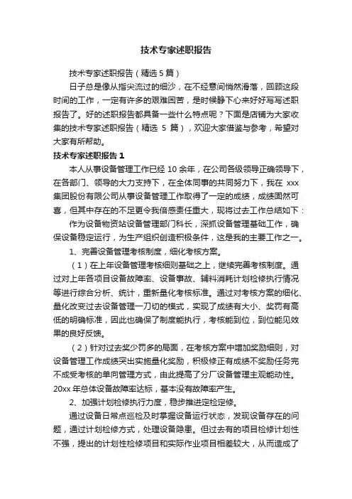 技术专家述职报告