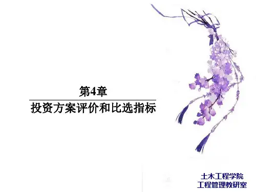 第4章  投资方案评价和比选指标