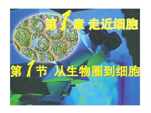 1.1 从生物圈到细胞