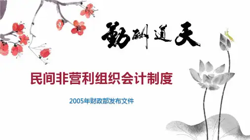 民间非营利组织会计制度