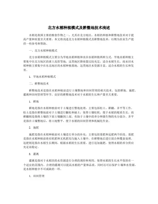 北方水稻种植模式及耕整地技术浅述
