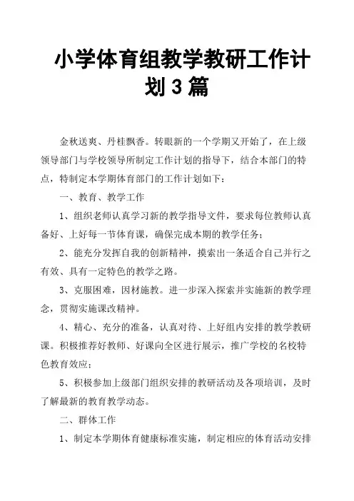 小学体育组教学教研工作计划3篇