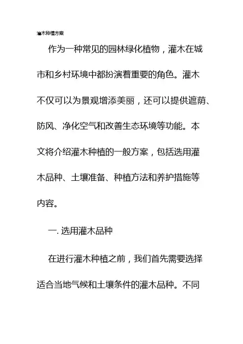 灌木种植方案