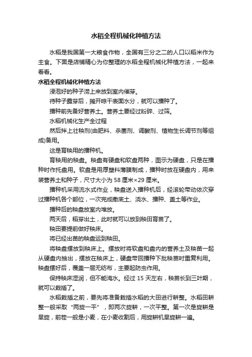 水稻全程机械化种植方法