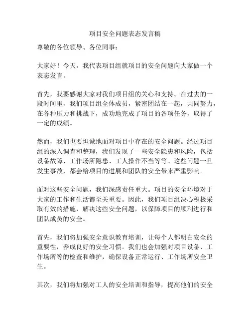 项目安全问题表态发言稿