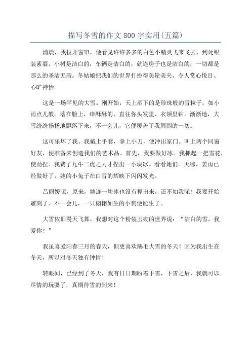描写冬雪的作文800字实用(五篇)