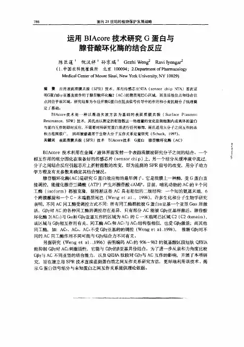运用BIAcore技术研究G蛋白和腺苷酸环化酶的结合反应