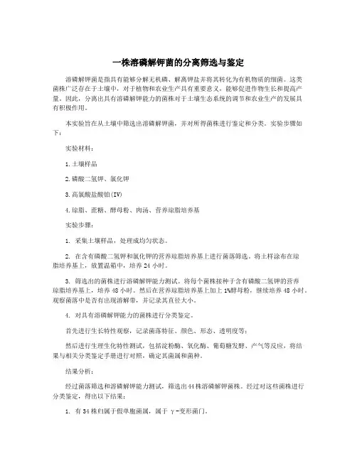 一株溶磷解钾菌的分离筛选与鉴定