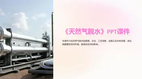 《天然气脱水》课件