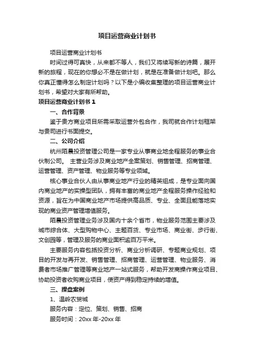 项目运营商业计划书