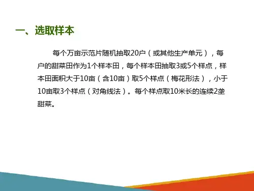 甜菜测产技术(甜菜生产技术课件)
