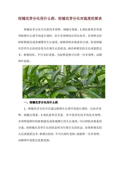 柑橘花芽分化用什么药,柑橘花芽分化对温度的要求