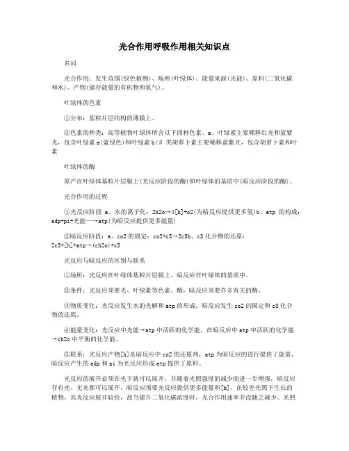 光合作用呼吸作用相关知识点