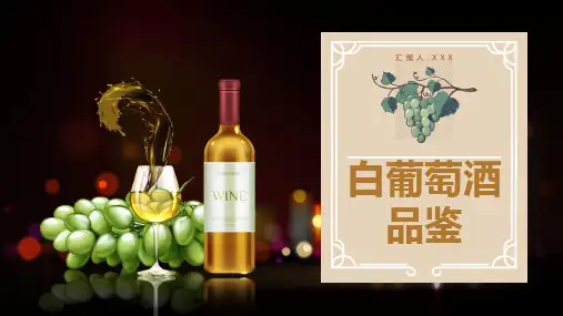 欧美风白葡萄酒品鉴介绍教育PPT演示课件