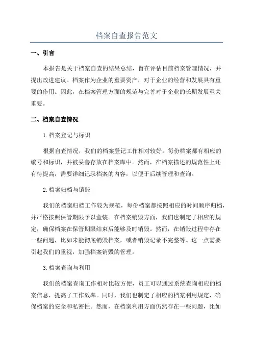 档案自查报告范文