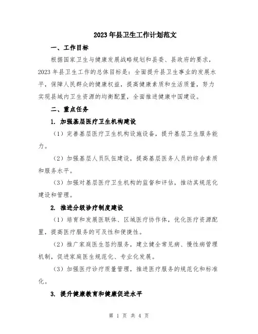 2023年县卫生工作计划范文
