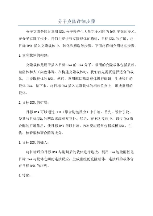分子克隆详细步骤