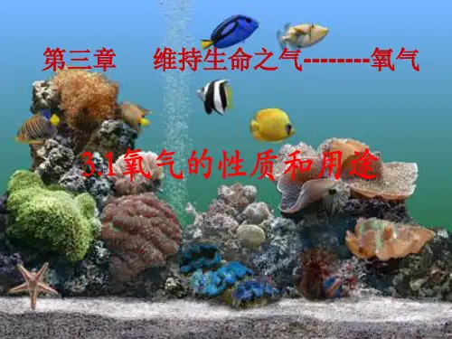 (完整版)氧气的性质与用途