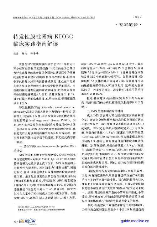 特发性膜性肾病-KDIGO临床实践指南解读