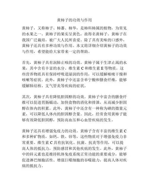 黄柿子的功效与作用
