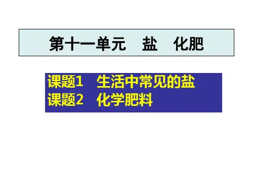 第十一单元 盐 化肥复习课件