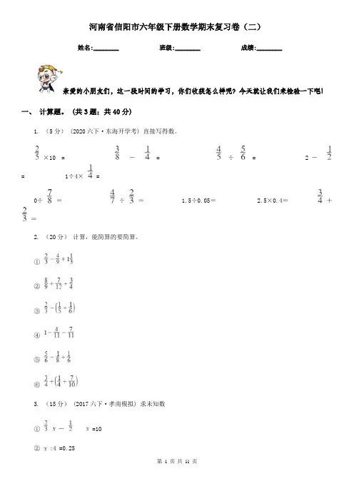 河南省信阳市六年级下册数学期末复习卷(二)