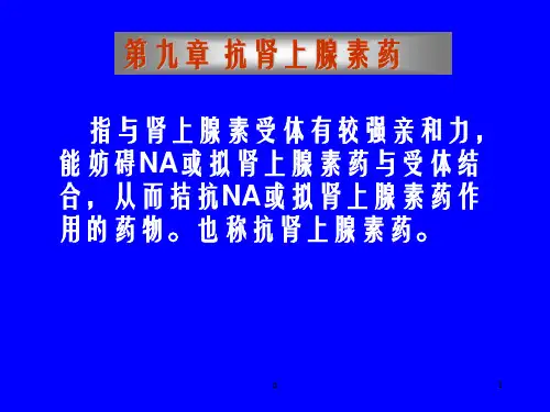 《抗肾上腺素药》PPT课件