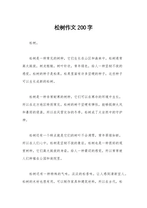 松树作文200字