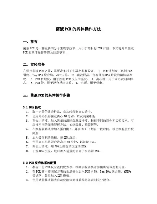 菌液pcr的具体操作方法